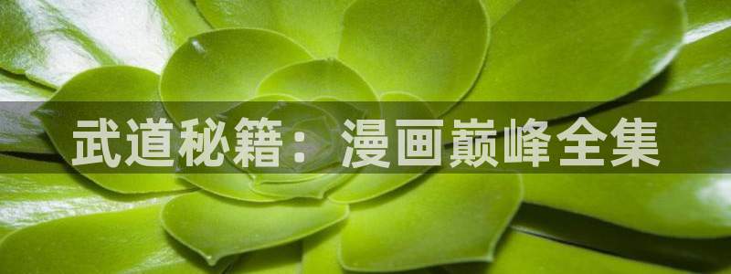 香蕉丑漫画书免费阅读