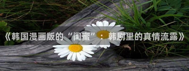 香蕉漫画书免费阅读下拉式小说