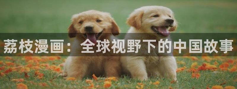 香蕉漫画 下载：荔枝漫画：全球视野下的中国故事